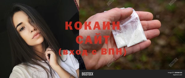 шишки Бугульма