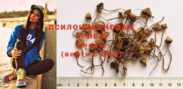 дистиллят марихуана Бородино