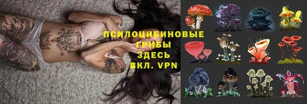 MDMA Верхний Тагил