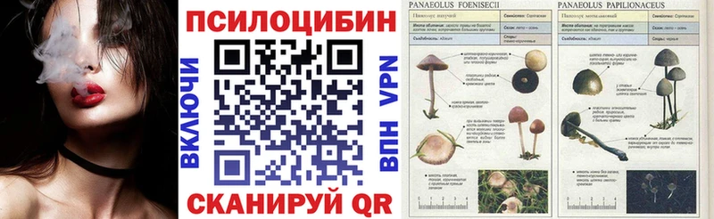 Псилоцибиновые грибы прущие грибы  Вытегра 